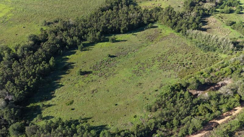 0 Bedroom Property for Sale in Albertinia Western Cape